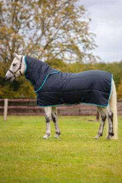Amigo Insulator Pony Plus 200g