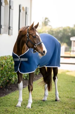 Amigo Jersey Cooler Navy
