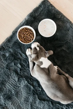 Bamboo Terazzo Hundskål