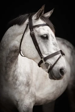 Basic Träns Trainer Mörkbrun