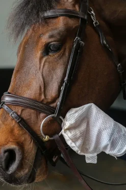 Belvoir Tack Cleaner Mitt