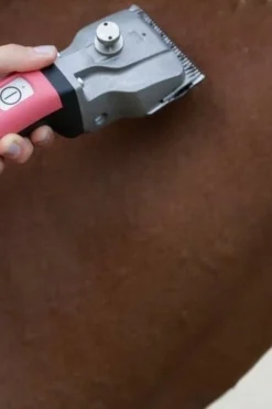 Bonum Klippmaskin 1x Batteri