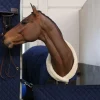 Boxskydd Navy