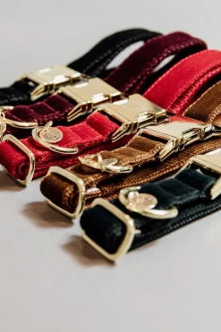 Corduroy Hundhalsband