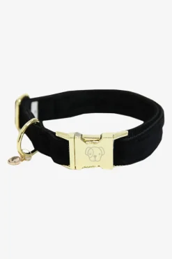 Corduroy Hundhalsband