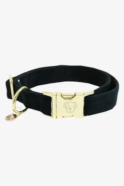 Corduroy Hundhalsband