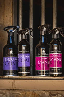 Dreamcoat Spray