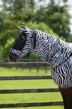 Eksemhuva med Öron Zebra