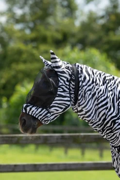 Eksemhuva med Öron Zebra