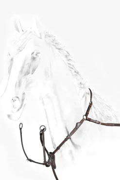 Equiline - Anatomiskt Set