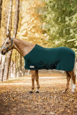 Fleecetäcke Economic X-Gjordar Fir Green
