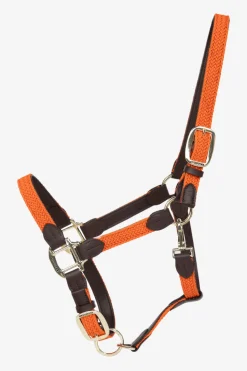 Flätad Nylon Lädergrimma Orange