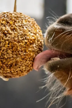Granola Boll Mixade Bär
