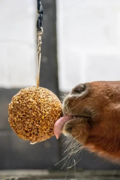 Granola Boll Äpple