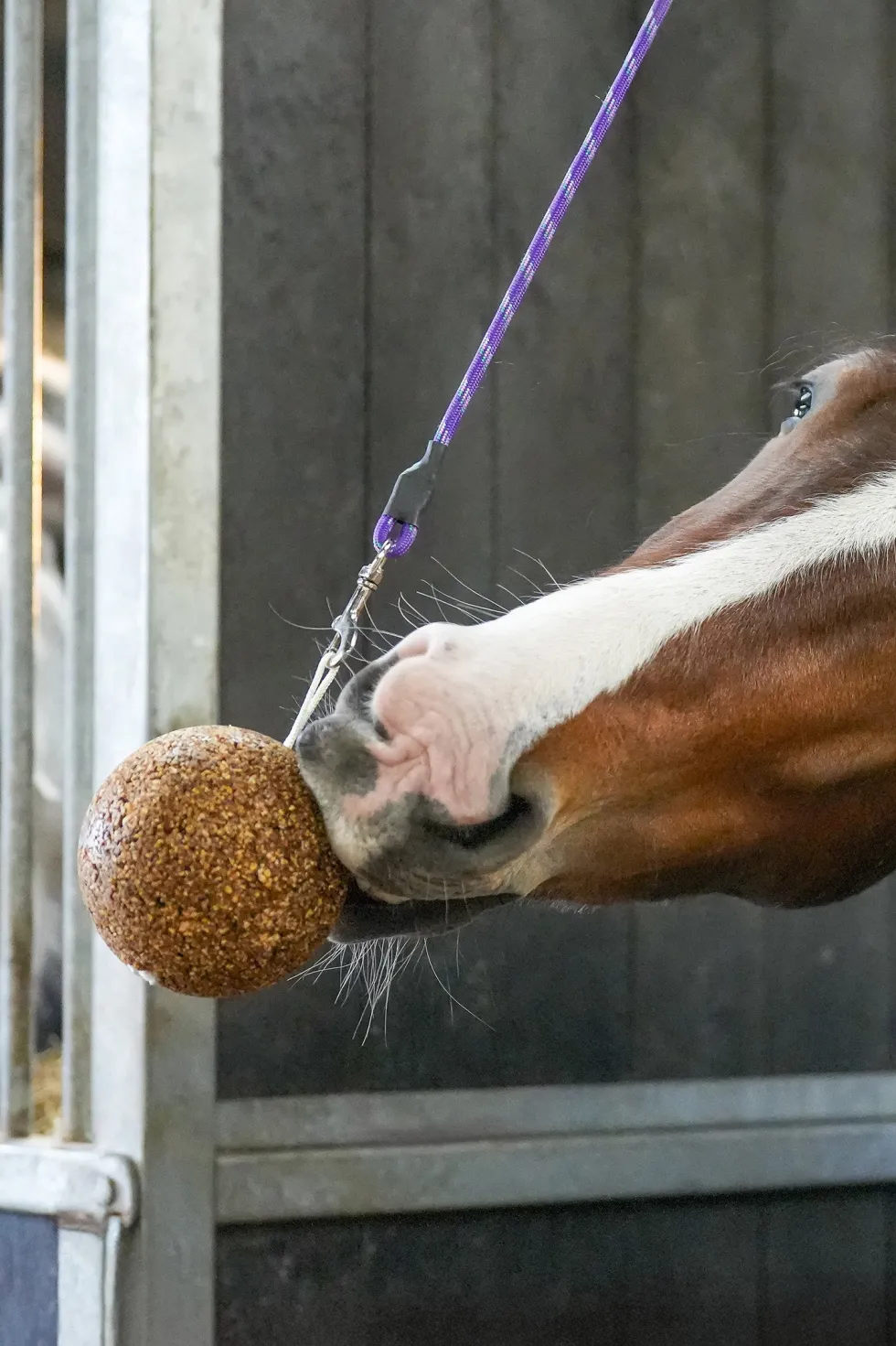 GranoLo Boll Äpple 1,5kg