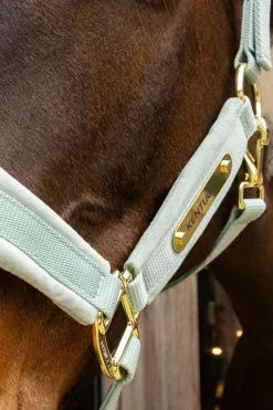 Grimma Sammet Mint