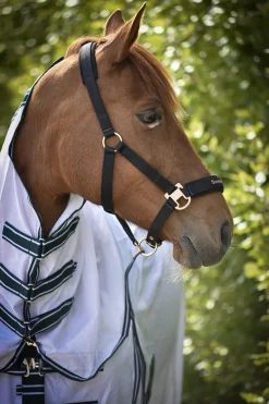 Grimma Svensk Ridsport