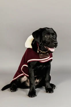 Heavy Fleece Hundtäcke