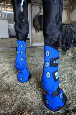 4H Magnetic Stallbandage Fram Blå