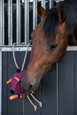 Horse Toy Boll