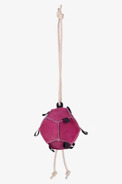 Horse Toy Boll