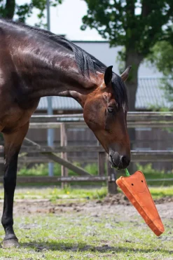 Horse Toy Carrot XL