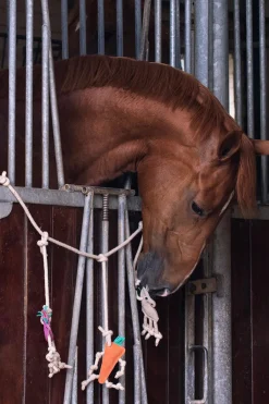 Horse Toy Hänge