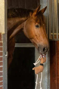 Horse Toy Rudolph