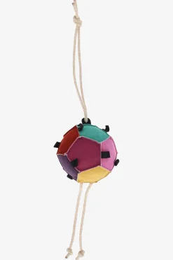 Hästleksak Boll Multi