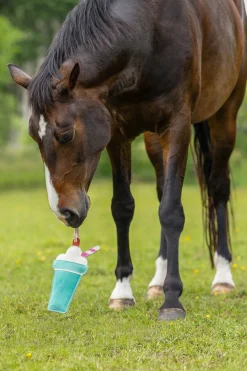 Hästleksak Milkshake