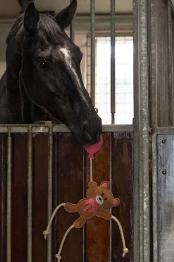 Hästleksak Valentine Björn