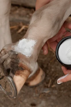 Mud Fever Creme Plus 250ml