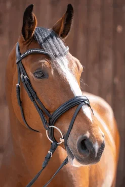 Novocontact Snaffle 14mm