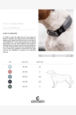 Reflex Hundhalsband