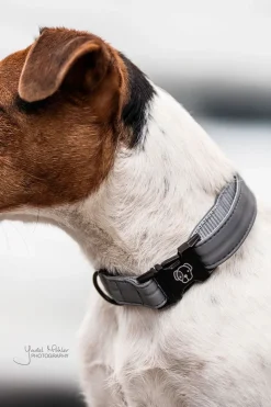 Reflex Hundhalsband