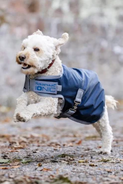 Regntäcke Hund Ionic 50g Imperial Blue/Silver