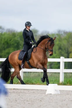 Ridbyxor New Lugana FFL Svart