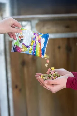 Snacks Godispåse Rainbow