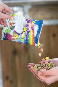 Snacks Godispåse Rainbow