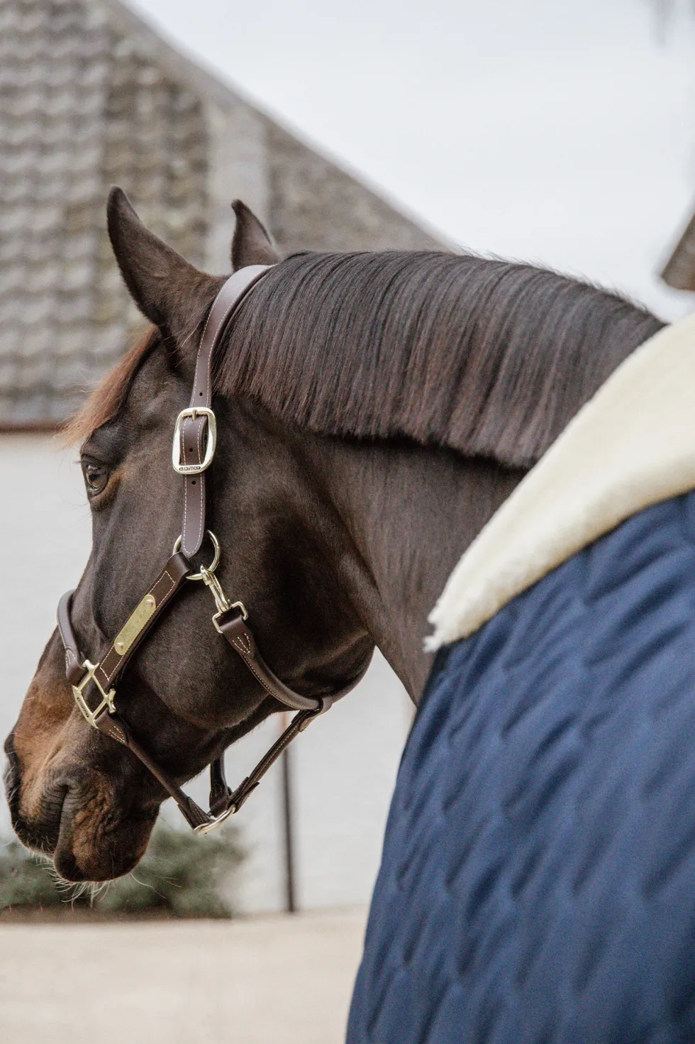 Stalltäcke Comfort 100g Navy