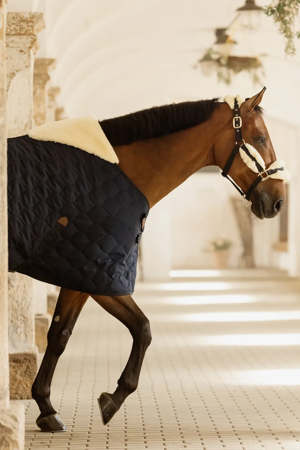 Stalltäcke Comfort 100g Navy