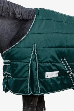 Stalltäcke Economic 300g Fir Green