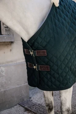 Stalltäcke 400g Dark Green