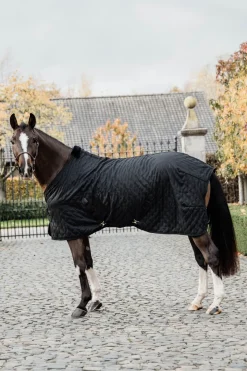 Stalltäcke 0g Svart/Svart