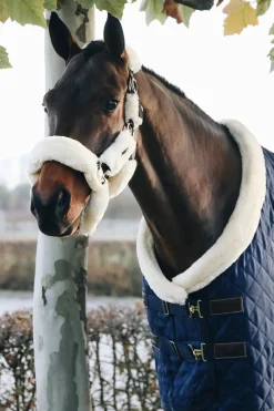 Stalltäcke Show Rug 160g Navy