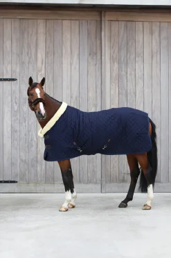 Stalltäcke Show Rug 160g Navy