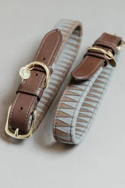 Triangel Hundhalsband