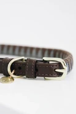 Triangel Hundhalsband