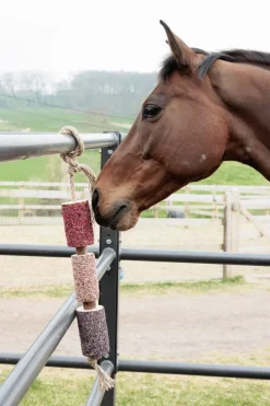 Träleksak Enhörning Joy Rosa