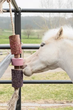 Träleksak Saltsten Sammy Rosa